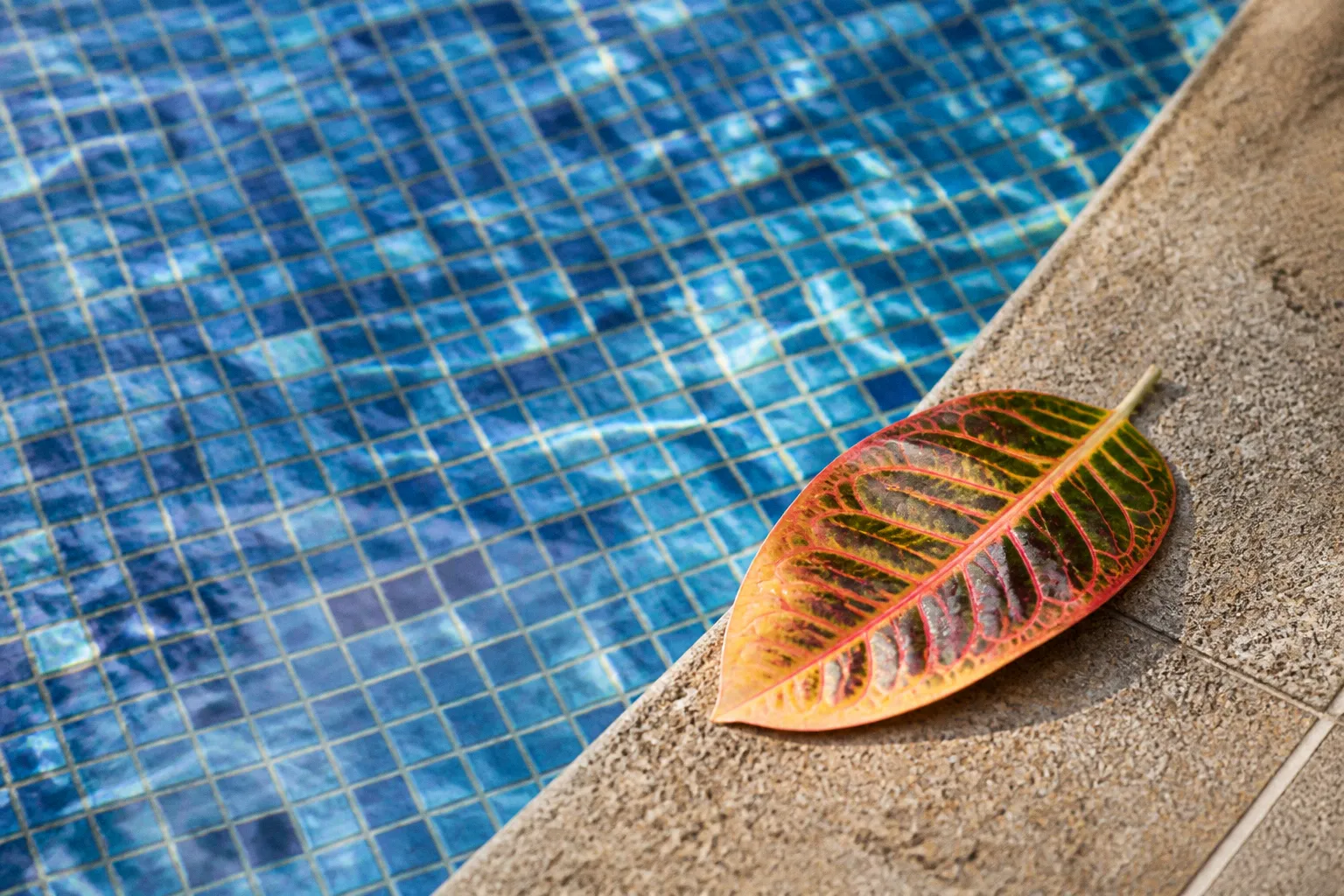 Billets Aqua Natura Benidorm : mon bilan après ma visite