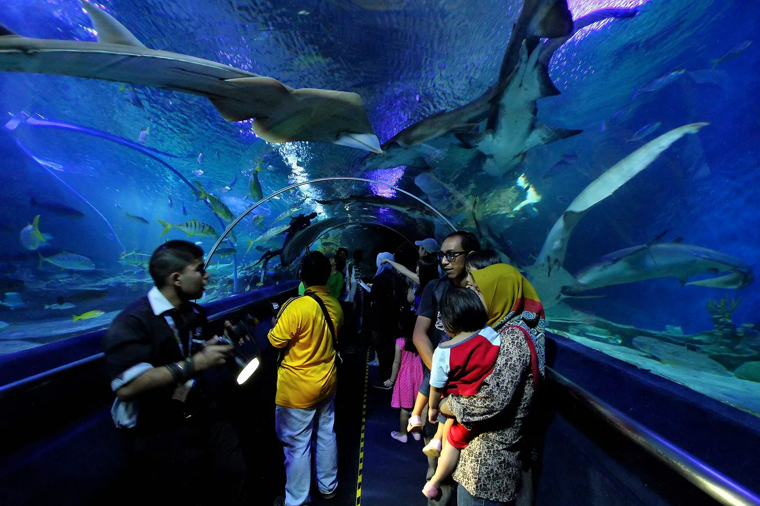 Aquaria KLCC tarifs : le prix du billet vaut-il le coup ?
