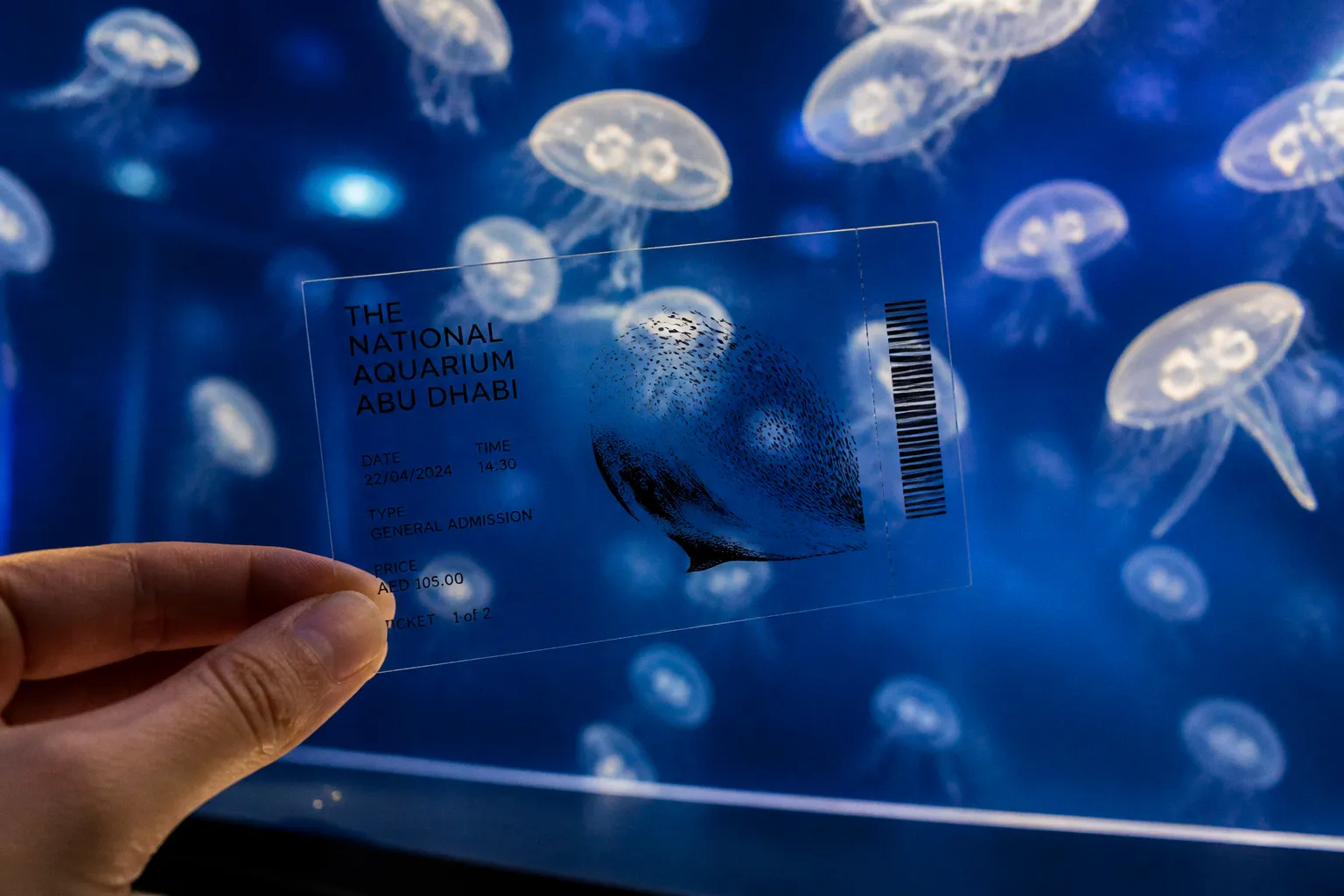 Aquarium national d'Abu Dhabi : faut-il acheter les billets ?