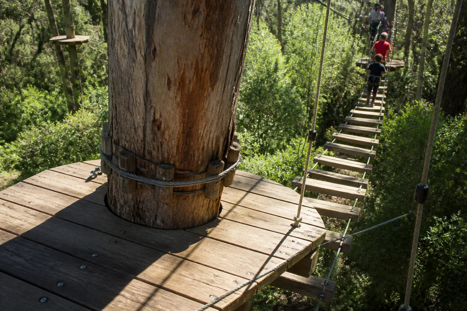 Treetops Adventure Canberra : immersion dans la canopée